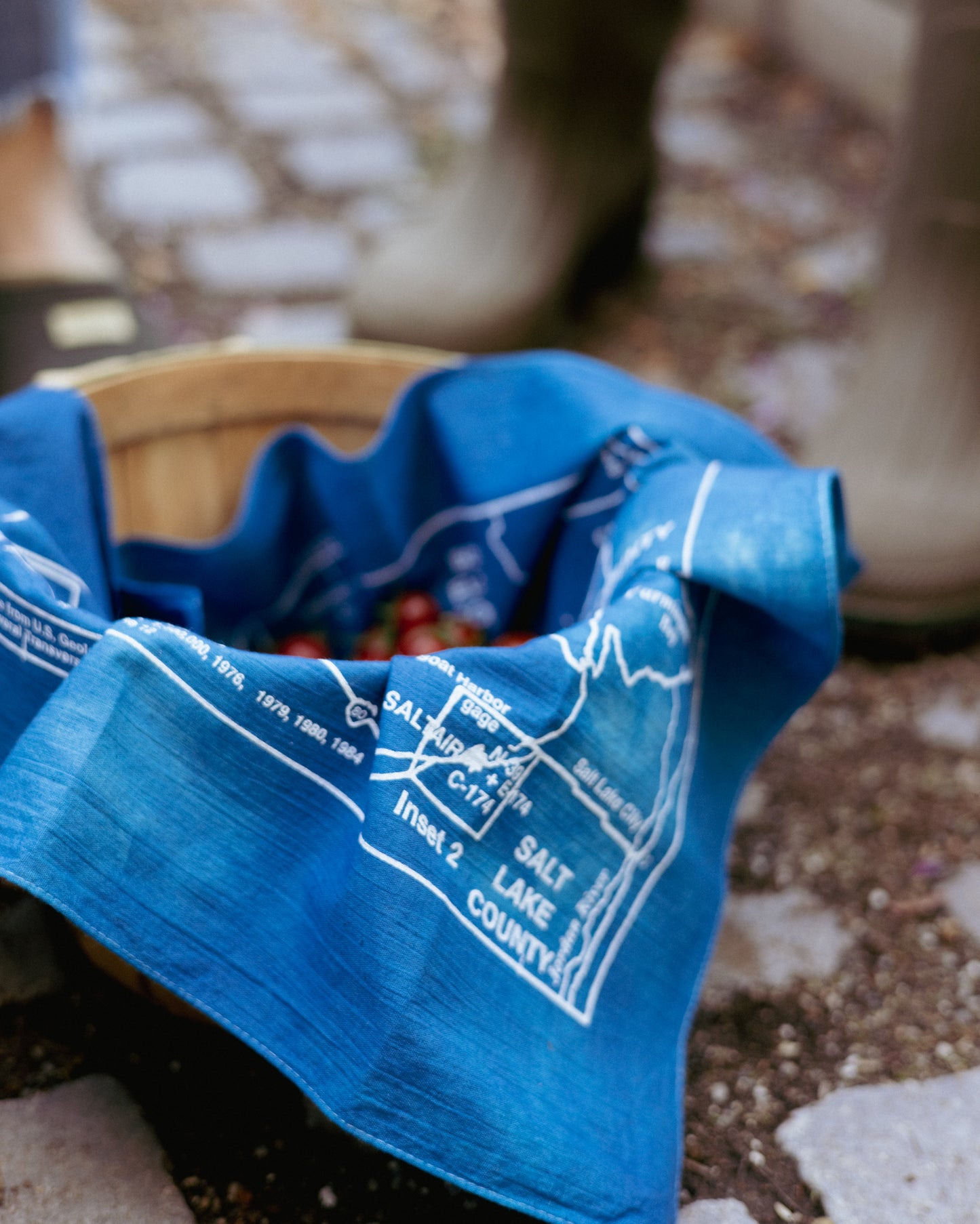 Topo Bandana Great Salt Lake