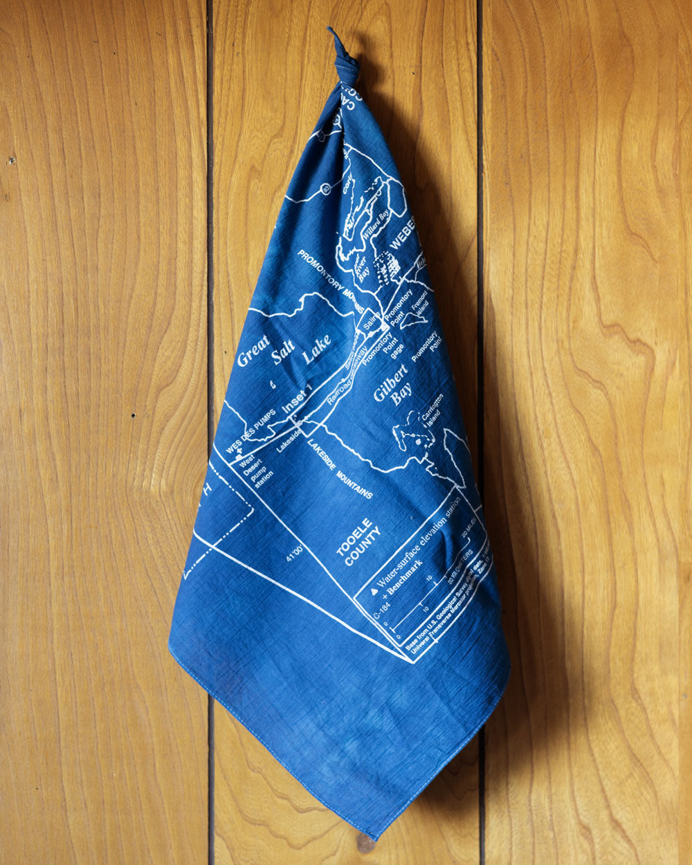 Topo Bandana Great Salt Lake